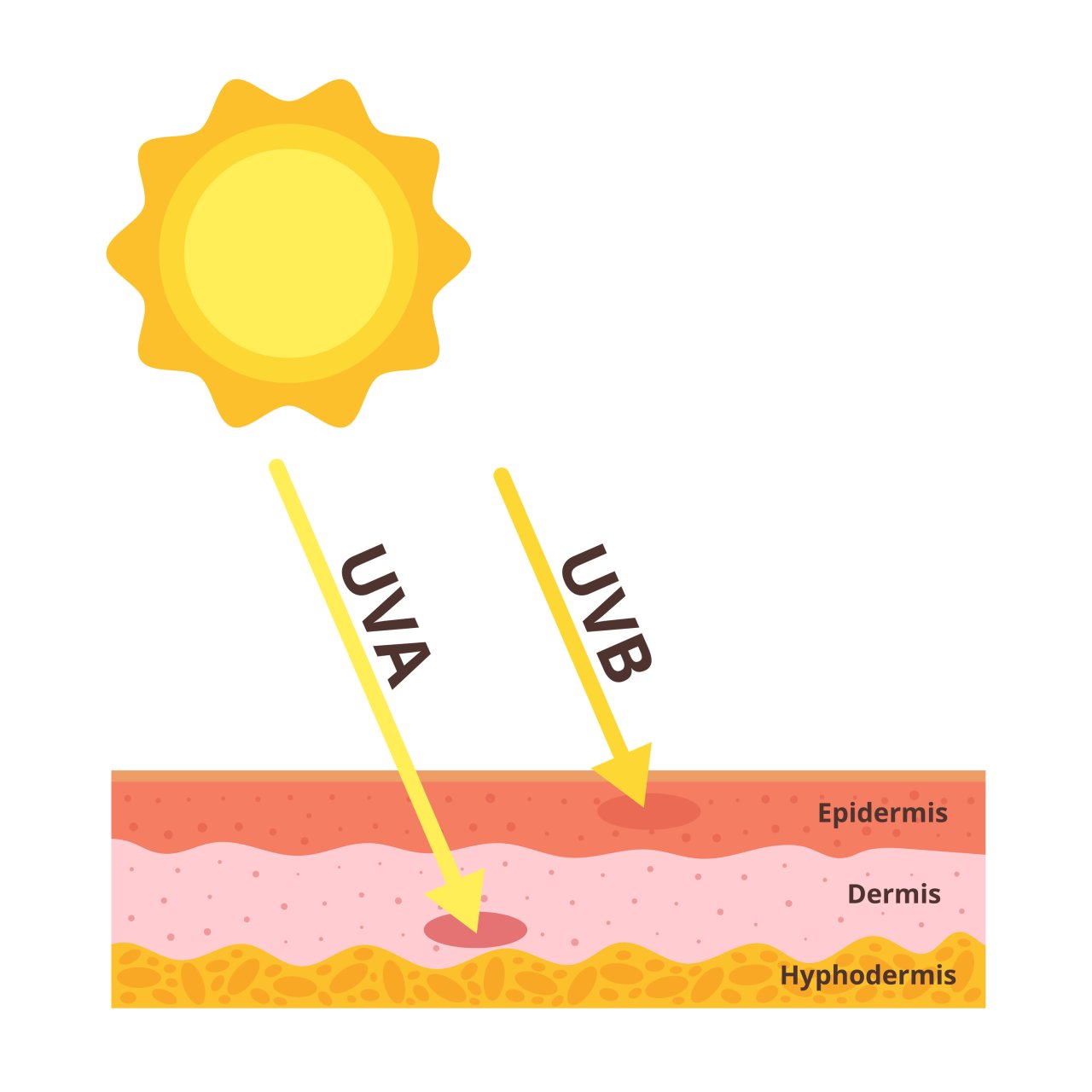 What difference between UVA & UVB? | Personalized Skin Care inc
